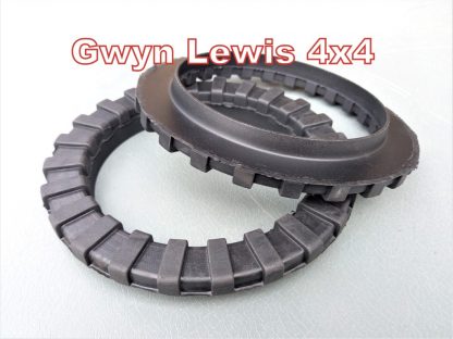 ANR2938-gwyn-lewis-4x4-1